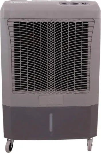 71qIJdre3sL._AC_SL1500_