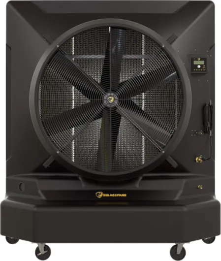 91woMnqFhwL._AC_SL1500_