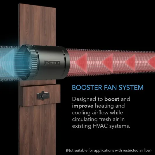 61tGOCC1LCL._AC_SL1000_