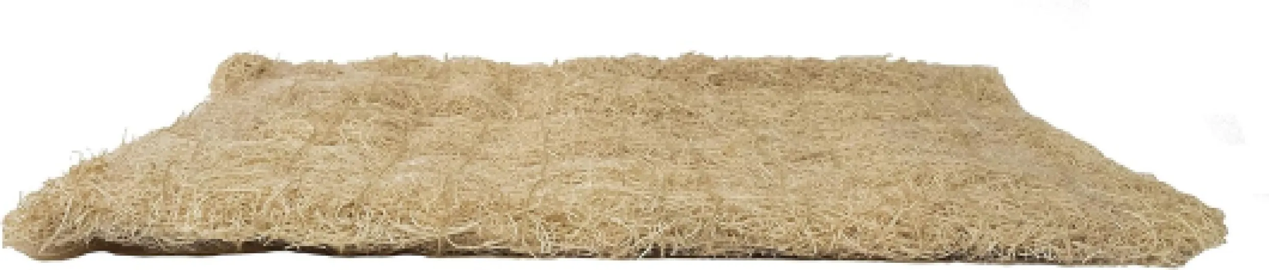 81daOv8M0UL._AC_SL1500_