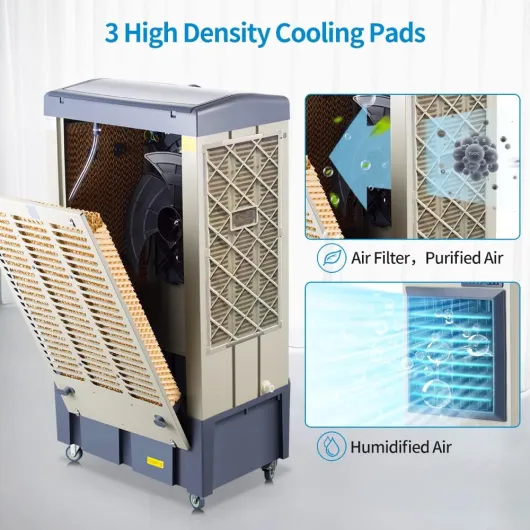 71tcapT8HZL._AC_SL1000_